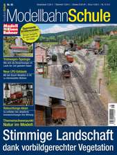 Modellbahn Schule 45