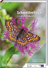 Schmetterlinge im Nationalpark Kalkalpen