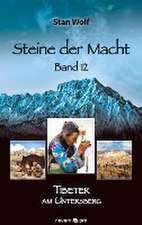 Steine der Macht - Band 12