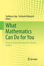 What Mathematics Can Do for You: Essays and Tips from Japanese Industry Leaders