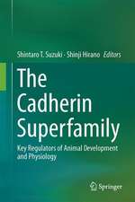 The Cadherin Superfamily: Key Regulators of Animal Development and Physiology