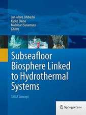 Subseafloor Biosphere Linked to Hydrothermal Systems: TAIGA Concept