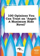 100 Opinions You Can Trust on Angel: A Maximum Ride Novel