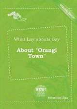 What Lay Abouts Say about Orangi Town