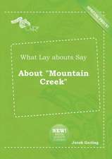 What Lay Abouts Say about Mountain Creek