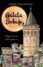 Galata Sokagi