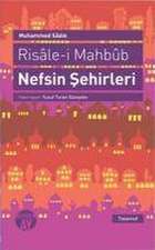 Risale-i Mahbub Nefsin Sehirleri