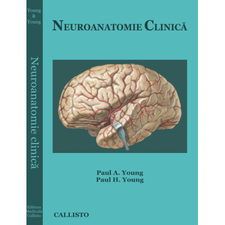 Neuroanatomie Clinica