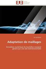 Adaptation de Maillages: Une Incitation Au Risque?