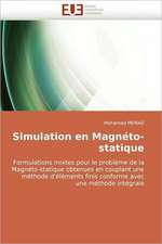 Simulation en Magnéto-statique