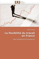 La flexibilité du travail en France