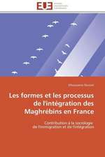 Les Formes Et Les Processus de L'Integration Des Maghrebins En France