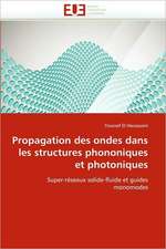 Propagation Des Ondes Dans Les Structures Phononiques Et Photoniques