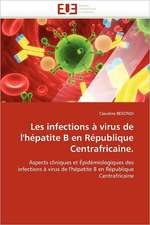 Les Infections a Virus de L'Hepatite B En Republique Centrafricaine.