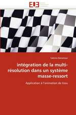 Integration de La Multi-Resolution Dans Un Systeme Masse-Ressort