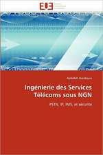 Ingenierie Des Services Telecoms Sous Ngn: Mecanisme de Formation Et Applications