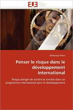 Penser le risque dans le développement international