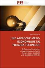 UNE APPROCHE MÉSO-ÉCONOMIQUE DU PROGRÈS TECHNIQUE