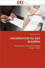 Valorisation Du Gaz Algerien: Alternative Dans La Prise En Charge Reflux Gastro- Sophagien Chez La Femme Enceinte