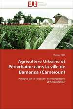 Agriculture Urbaine Et Periurbaine Dans La Ville de Bamenda (Cameroun): Quels Soins Et Quel Devenir