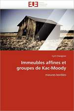 Immeubles affines et groupes de Kac-Moody