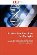 Protonation Specifique Des Methyles