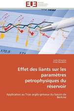 Effet Des Liants Sur Les Parametres Petrophysiques Du Reservoir: Mode de Traitement de L'Information Et Observance Aux Arv