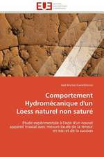 Comportement Hydromecanique D'Un Loess Naturel Non Sature: Figures Du Francais Et Du Noir Dans La Litterature