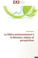 La Filiere Environnement a la Reunion: Enjeux Et Perspectives