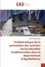 Problematique de la promotion des activites socioculturelles traditionnelles dans le departement d¿Agnibilekrou