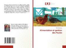 Alimentation et gestion des Poules