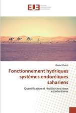 Fonctionnement hydriques systèmes endoréiques sahariens