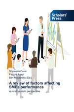 A review of factors affecting SMEs performance