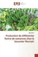 Production de différentes forme de semences chez le bananier Plantain