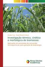 Investigação térmica, cinética e morfológica de biomassas: