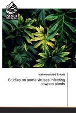 Studies on some viruses infecting cowpea plants