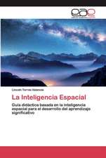 La Inteligencia Espacial