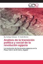 Análisis de la transición política y social de la revolución egipcia