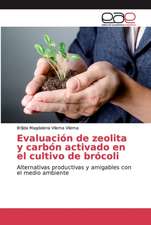 Evaluación de zeolita y carbón activado en el cultivo de brócoli