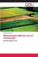 Rhizoctonia affects rice in Venezuela