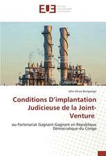 Conditions D¿implantation Judicieuse de la Joint-Venture