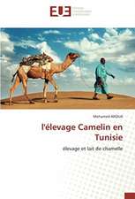 l'élevage Camelin en Tunisie