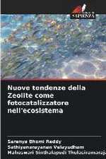 Nuove tendenze della Zeolite come fotocatalizzatore nell'ecosistema