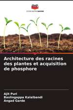 Architecture des racines des plantes et acquisition de phosphore