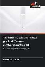 Tecniche numeriche ibride per la diffusione elettromagnetica 2D