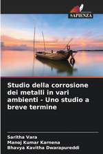 Studio della corrosione dei metalli in vari ambienti - Uno studio a breve termine