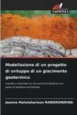 Modellazione di un progetto di sviluppo di un giacimento geotermico