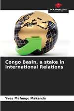 Congo Basin, a stake in International Relations