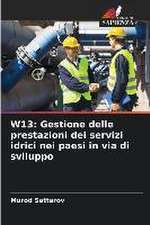 W13: Gestione delle prestazioni dei servizi idrici nei paesi in via di sviluppo