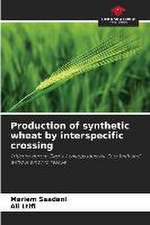 Production of synthetic wheat by interspecific crossing